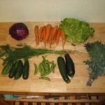Our Last CSA Pick-Up